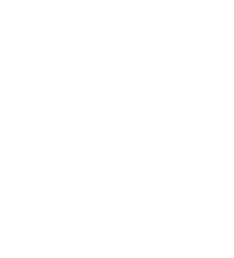 lines